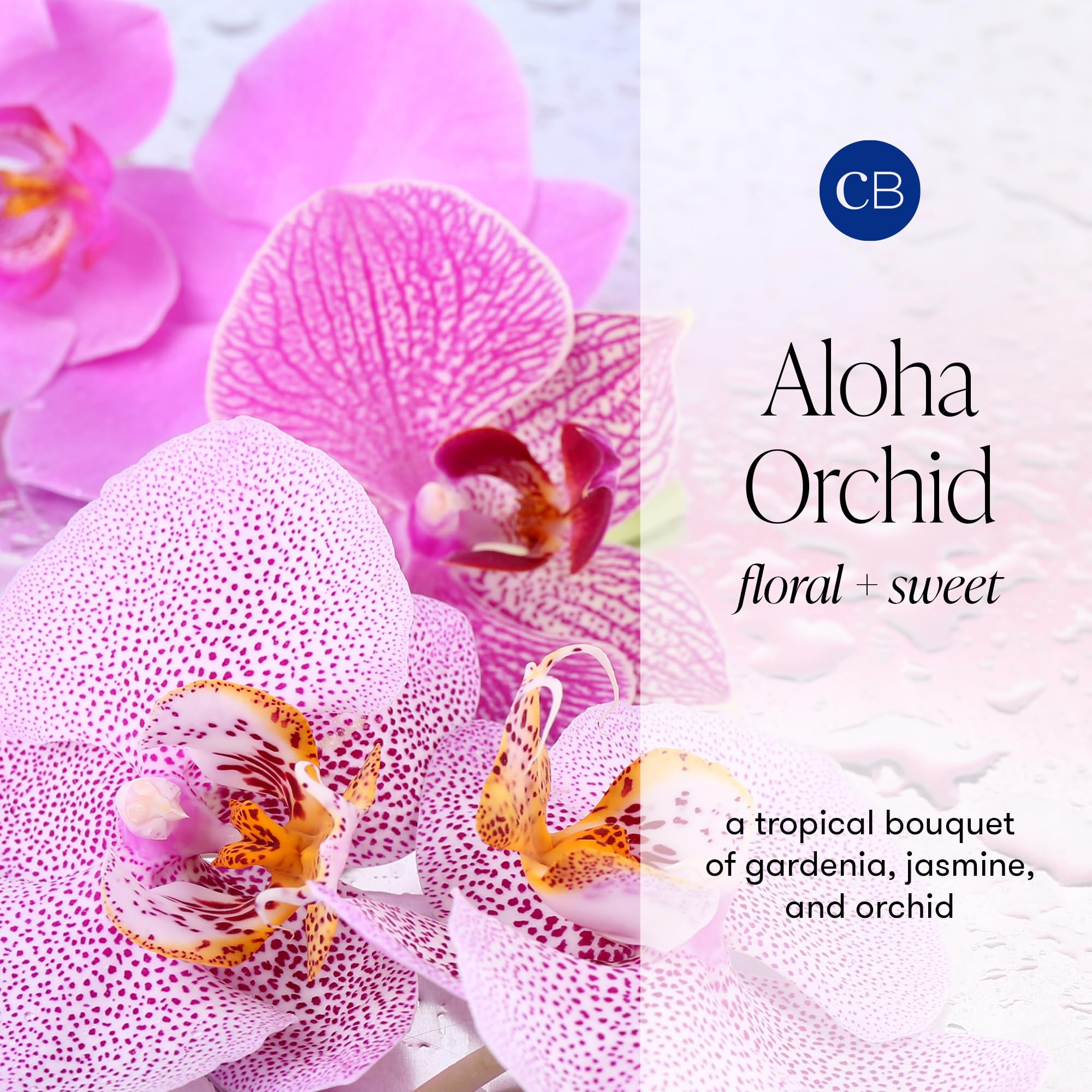 Capri Blue Aloha Orchid scent fills rooms with orchid, jasmine, gardenia, floral musk.