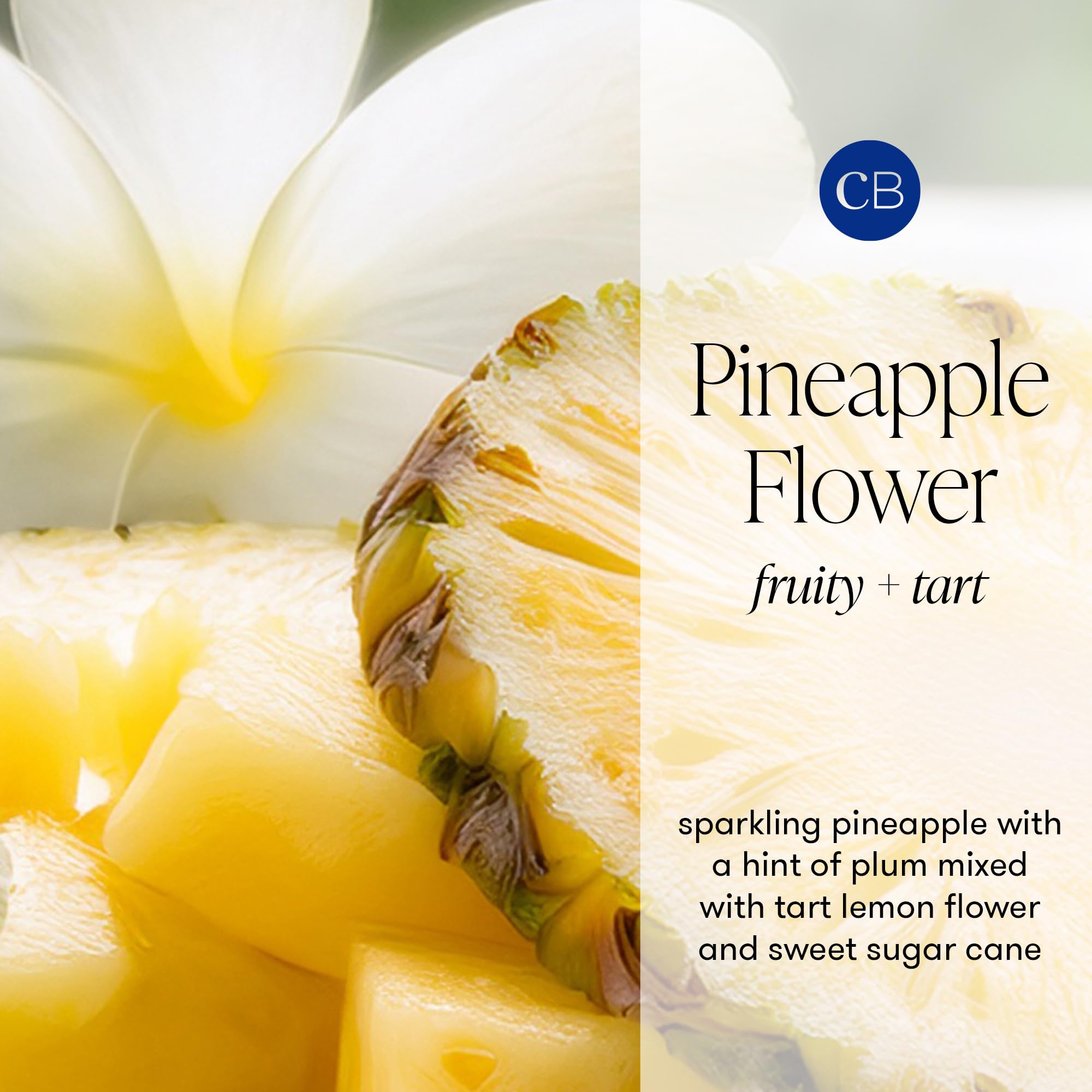Capri Blue Pattern Play candle with lemon flower notes brightens kitchens.
