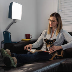 Carex Day-Light Sky height-adjustable stand enables comfortable desk placement.