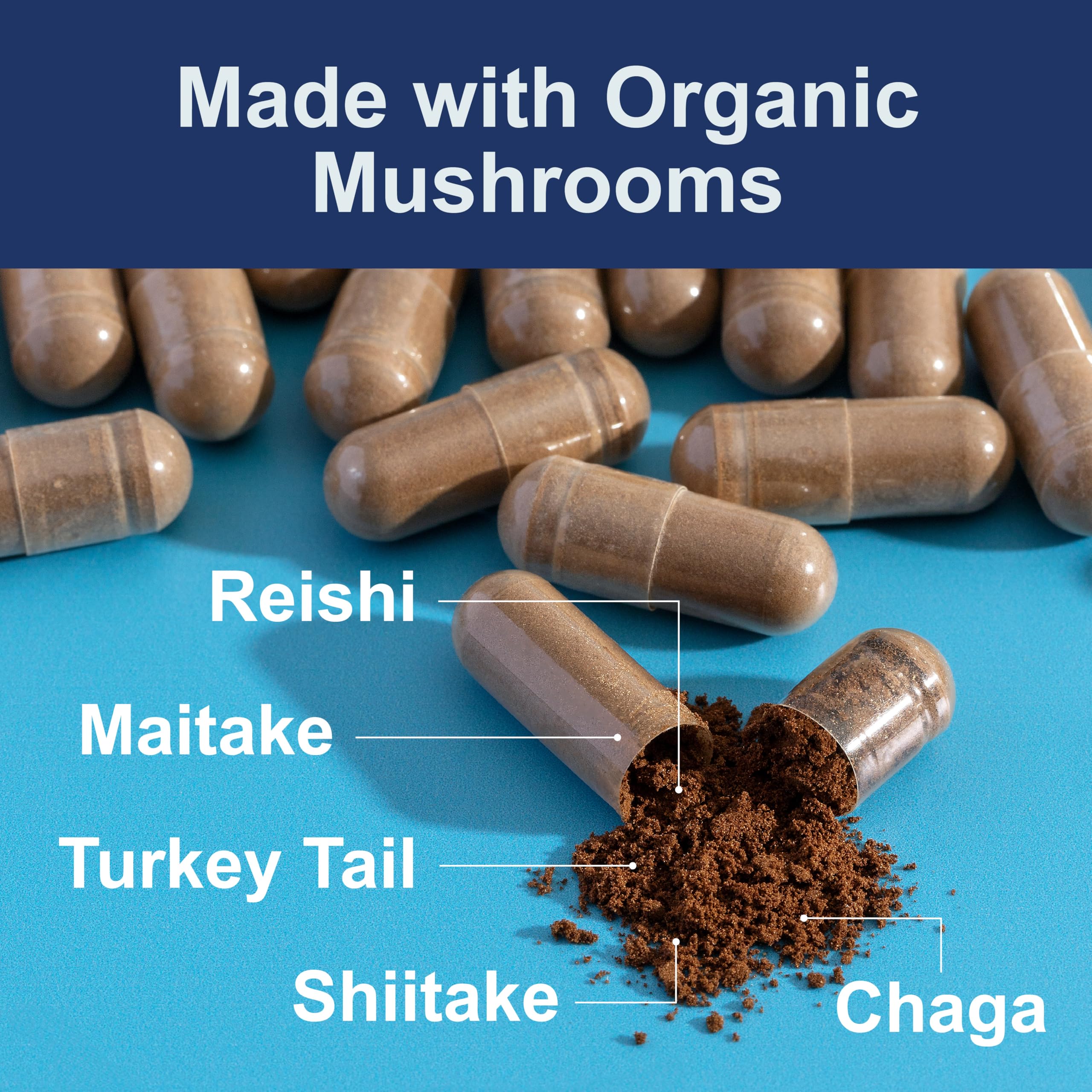 Carlson Mushroom Complex organic seal highlights non-GMO and vegetarian formula for clean sourcing.