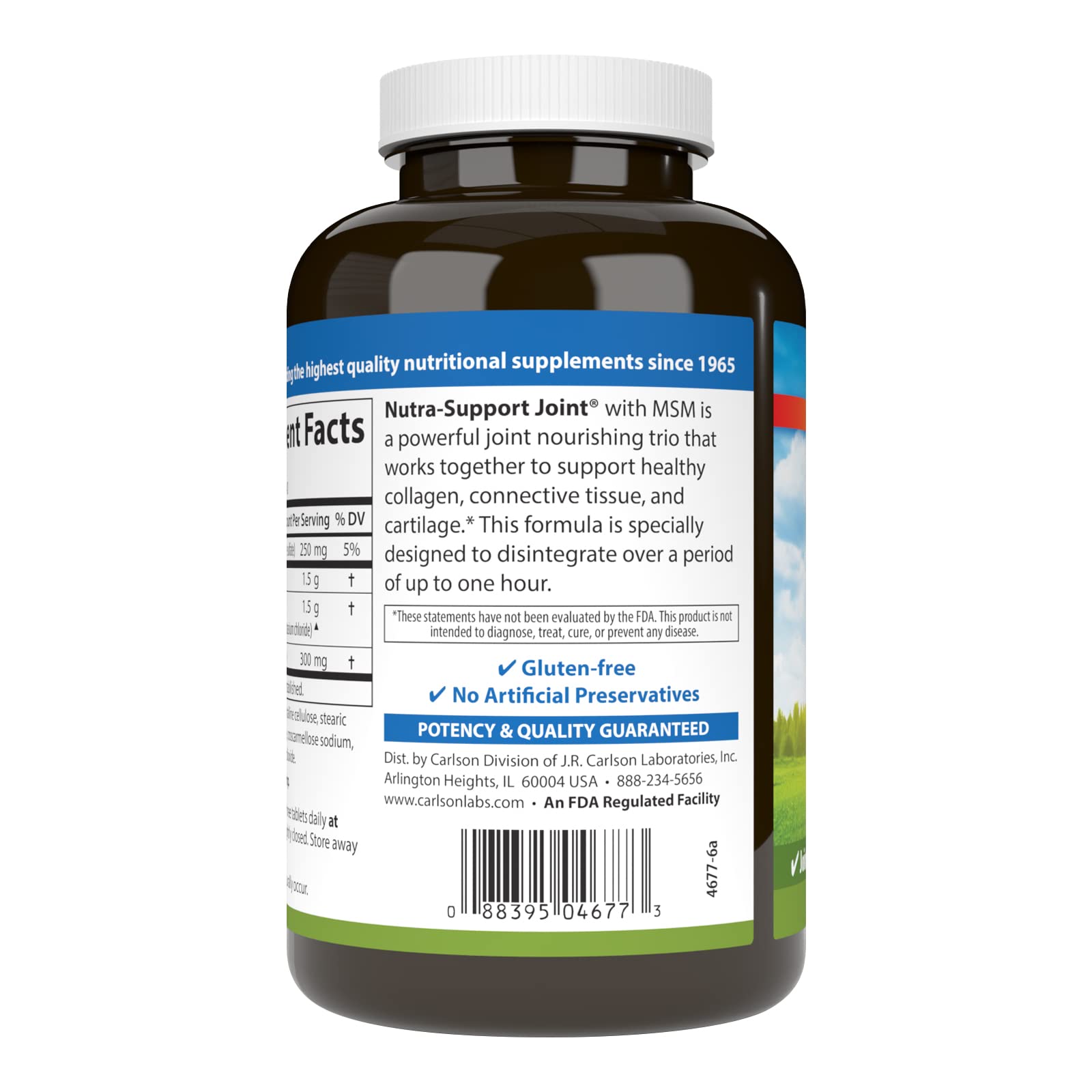 Nutra-Support label art highlights potency and quality for wellness routines.
