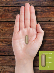 Carlyle Grass Fed Pancreas bottle displayed for simple everyday use.