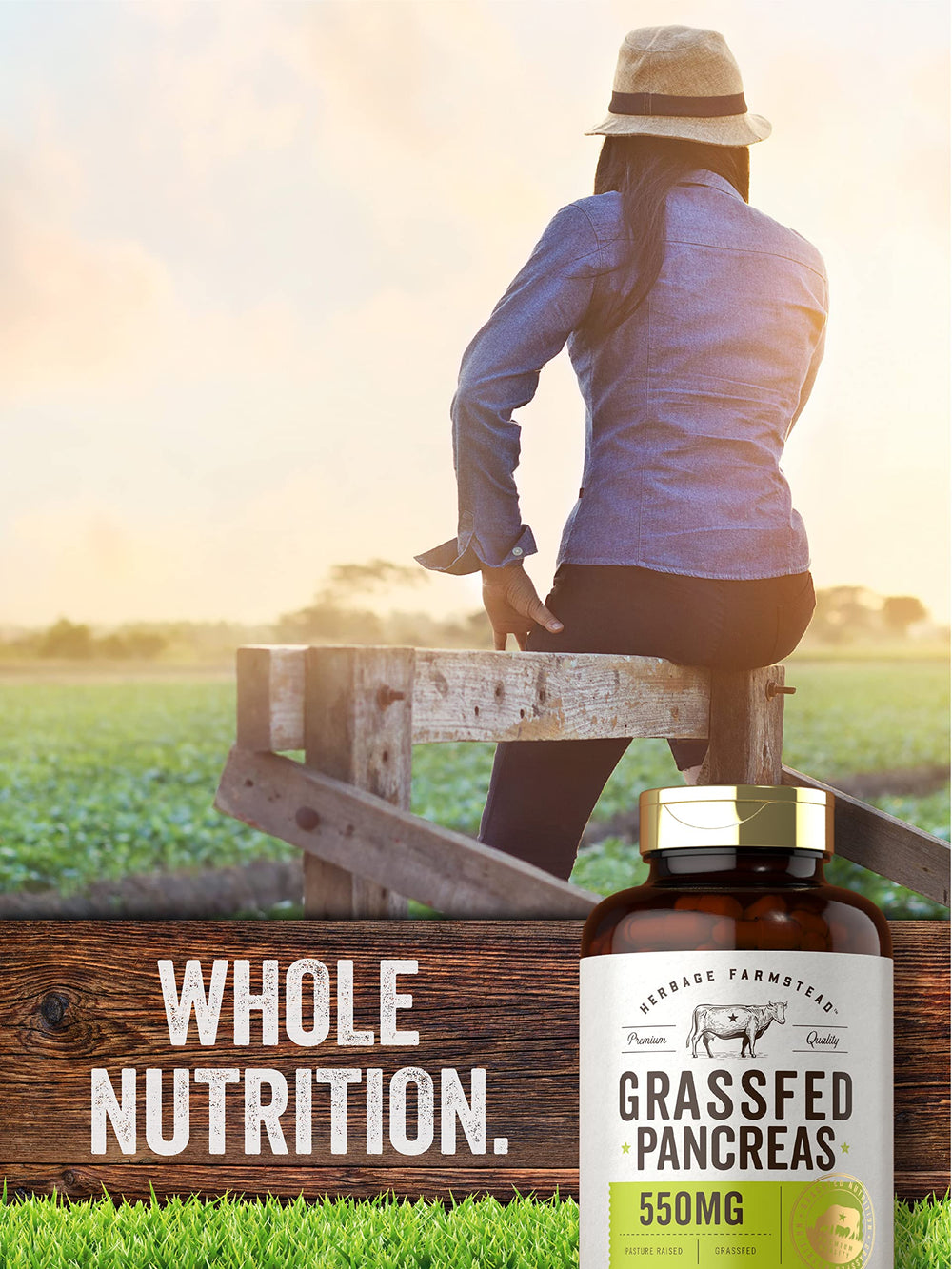 Desiccated pancreas capsules shown for convenient, gluten-free supplementation.