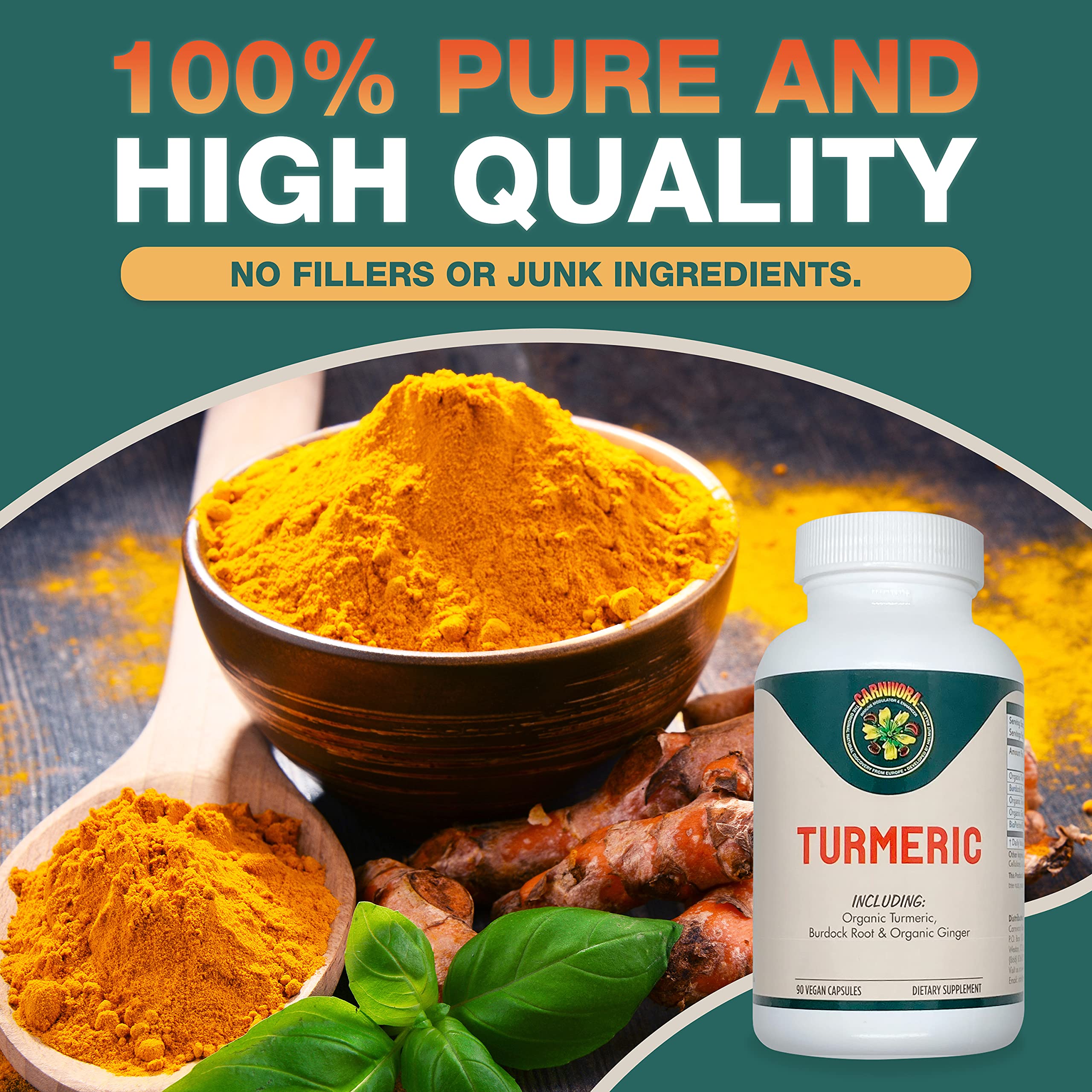 Carnivora Turmeric capsules inside ready for joint and digestive wellness.