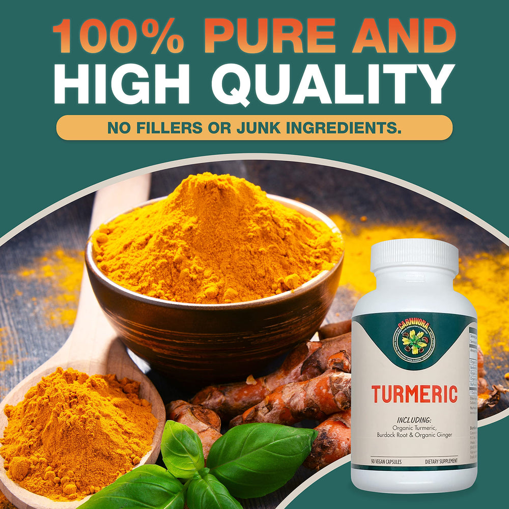 Carnivora Turmeric capsules inside ready for joint and digestive wellness.