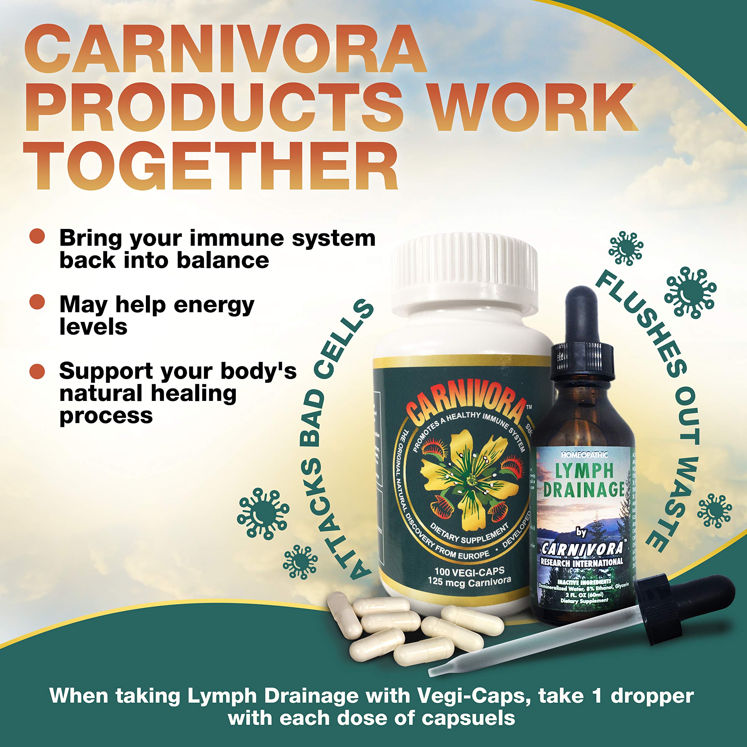 Graphic showing vegan-friendly Carnivora Vegi-Caps in a bottle