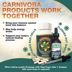 Graphic showing vegan-friendly Carnivora Vegi-Caps in a bottle