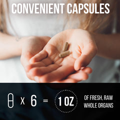 Carnivore Method Beef Organ Supplement Complex thymus capsule close-up, immune-supporting micronutrients.