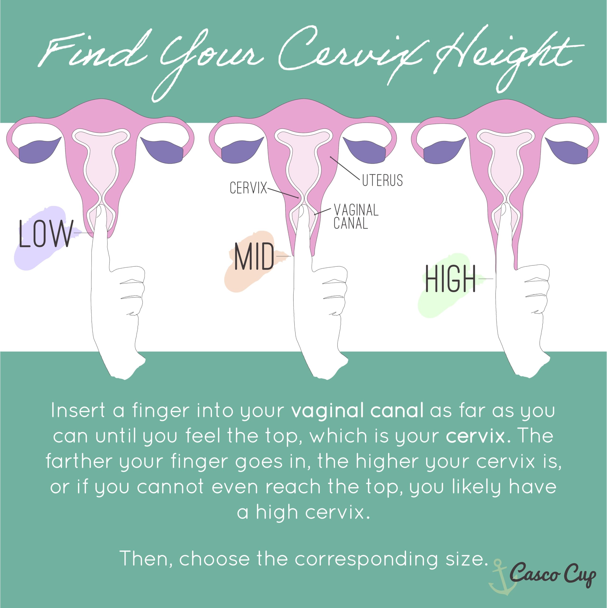 Casco Cup fit options illustrate different sizes to help find your fit.