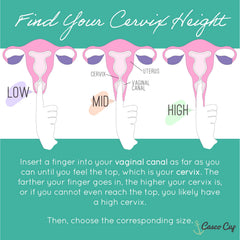 Casco Cup fit options illustrate different sizes to help find your fit.