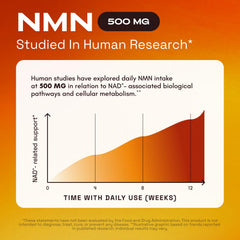 Cata-Kor NMN supplement ingredients image highlights quercetin, resveratrol, and TMG synergy