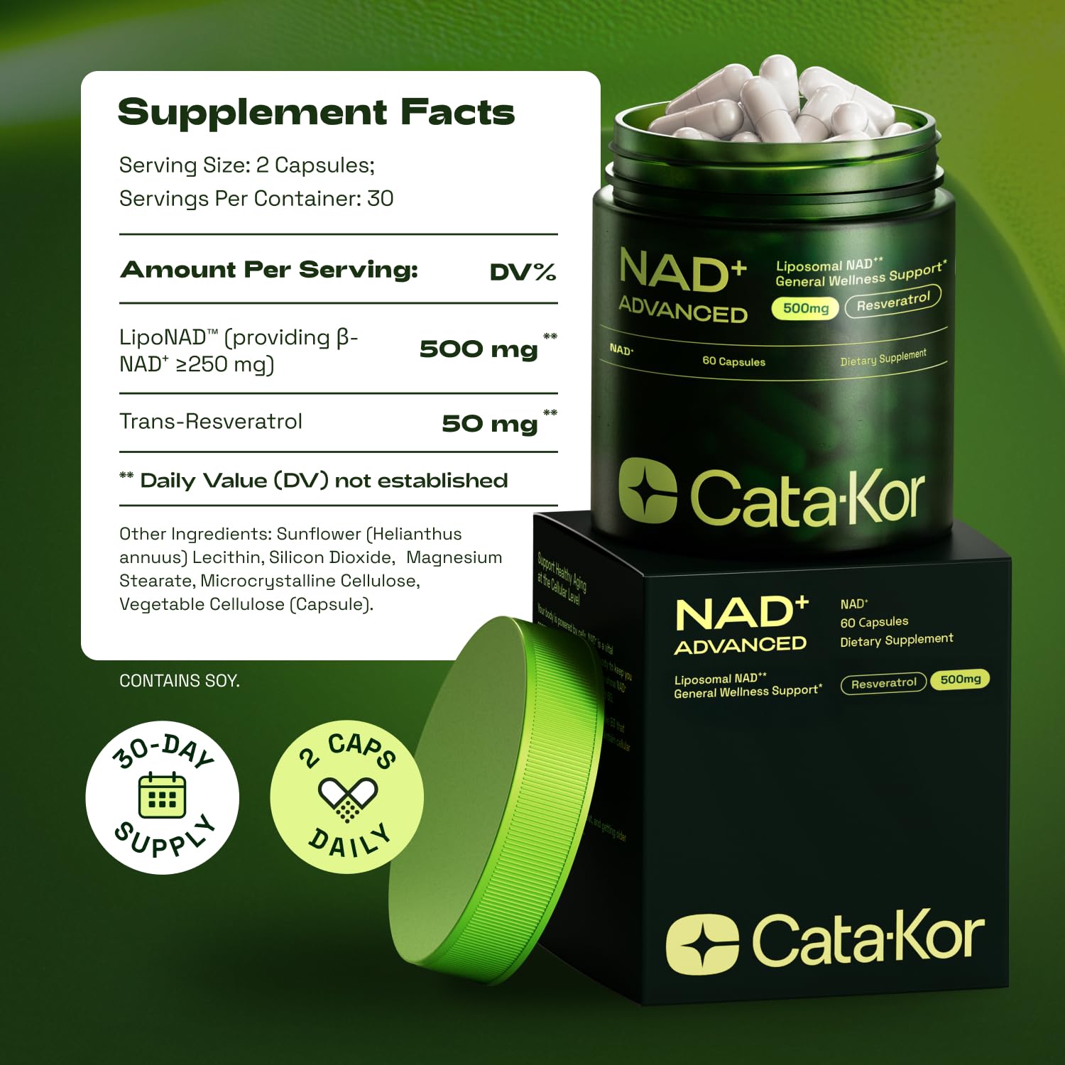 USA-made production line image reinforces consistent manufacturing standards for Cata-Kor.