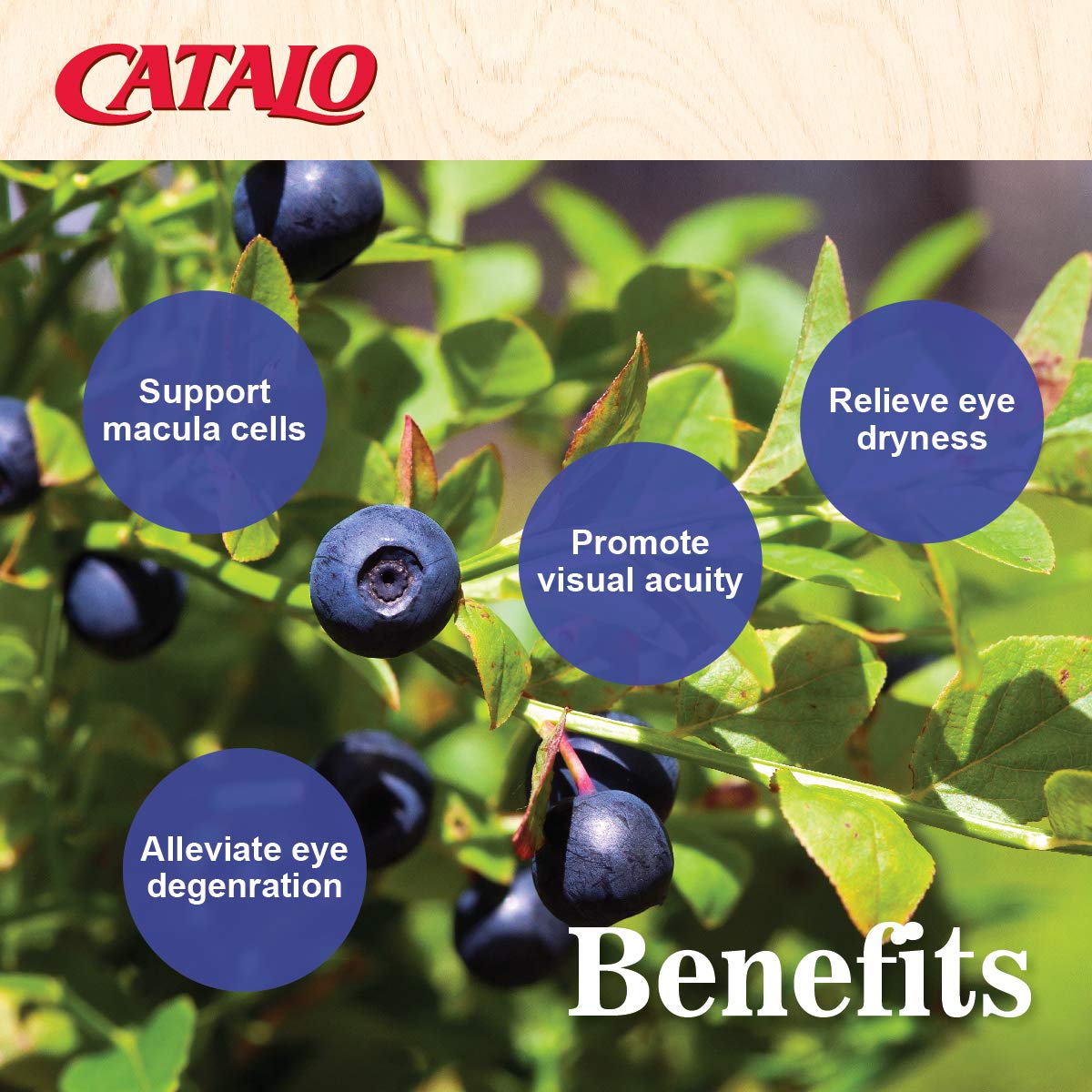 CATALO halal-certified label indicating compliant, high-quality eye supplement.