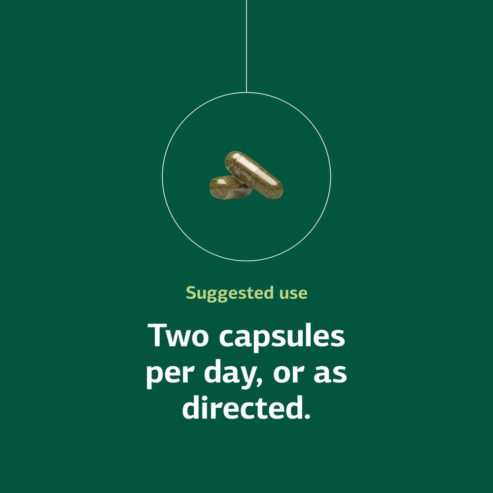 Catalyn Iron serving size chart illustrating 75 servings per bottle.