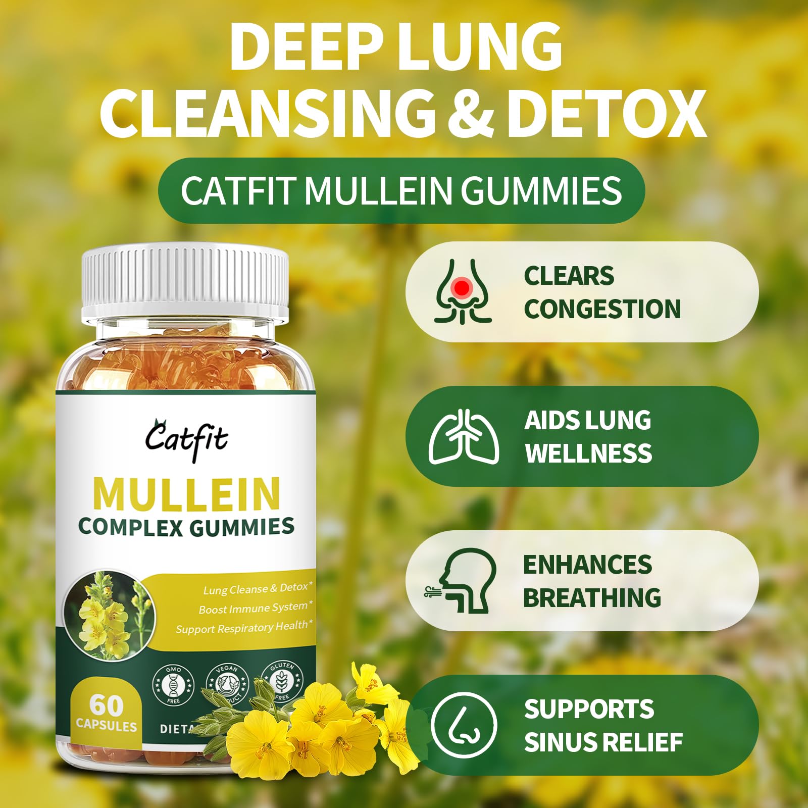 Catfit Mullein Gummies 2-pack box highlights value and routine use.
