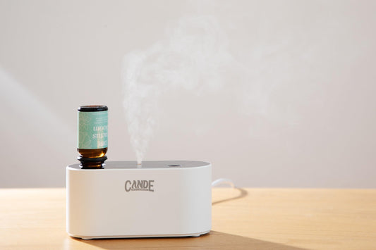 CE CRAFT diffuser with charging cable, ready for quick recharge.