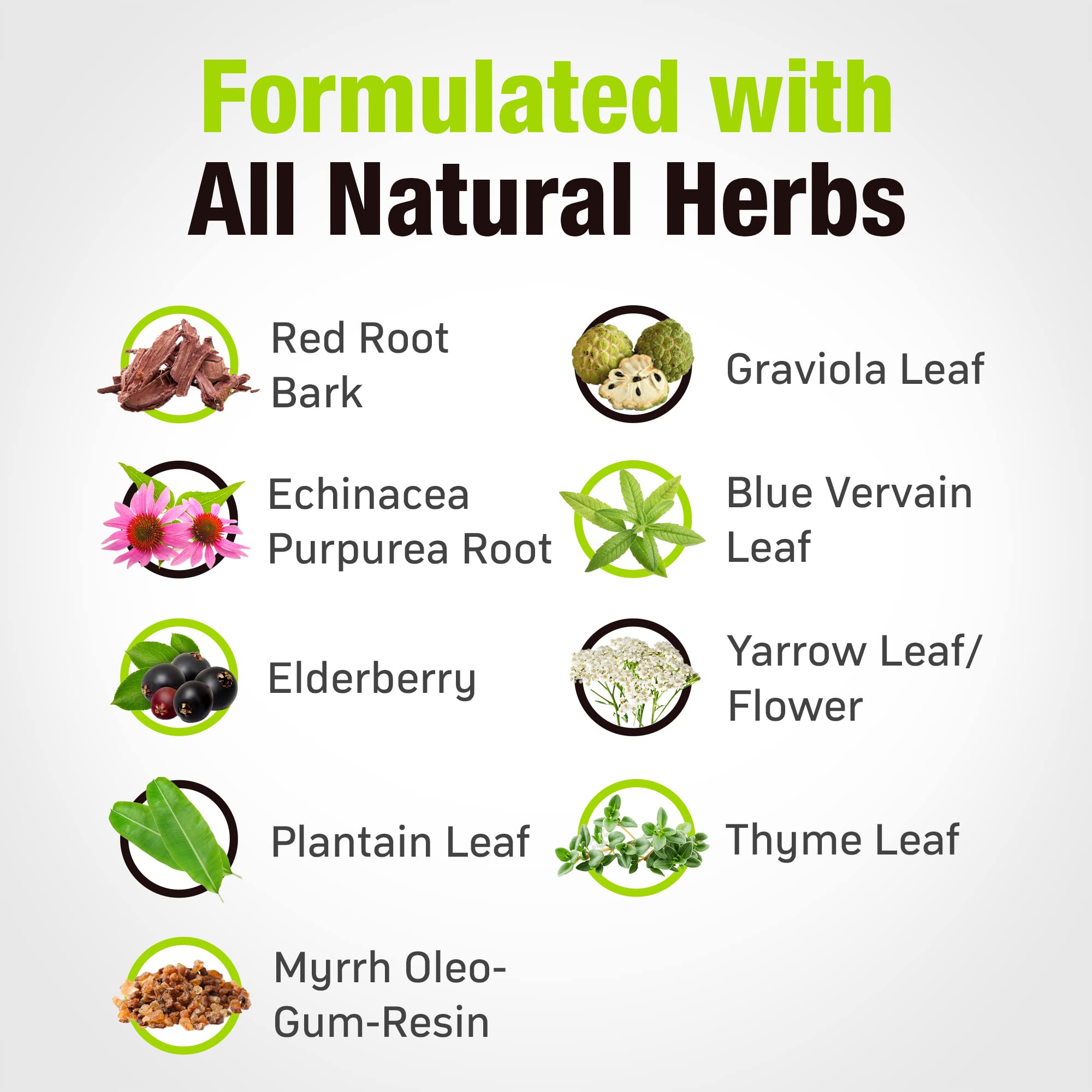 Cedar Bear All-Natural Wellness Formula label shows preservative-free design for vitality