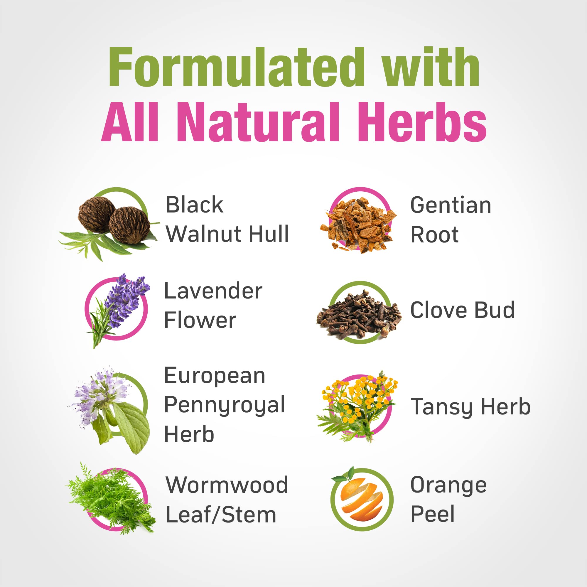 Cedar Bear Liquid Herbal Supplement drops emphasize natural ingredients and non-GMO formulation.
