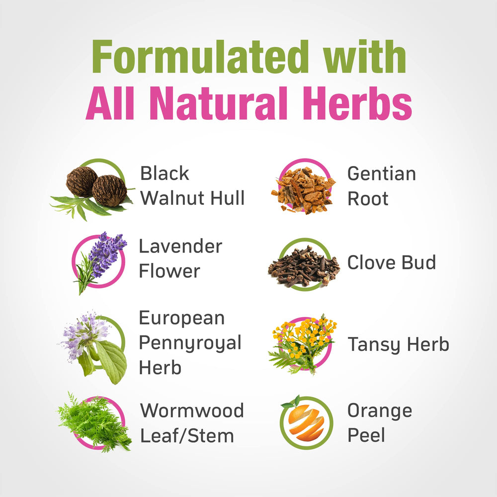 Cedar Bear Liquid Herbal Supplement drops emphasize natural ingredients and non-GMO formulation.