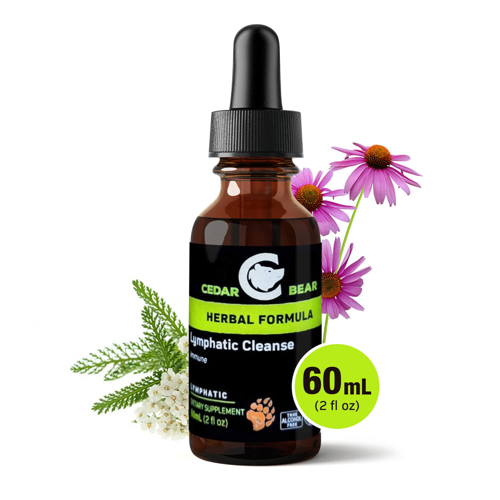 Cedar Bear Liquid Immune Drops in glass ready for fast absorption