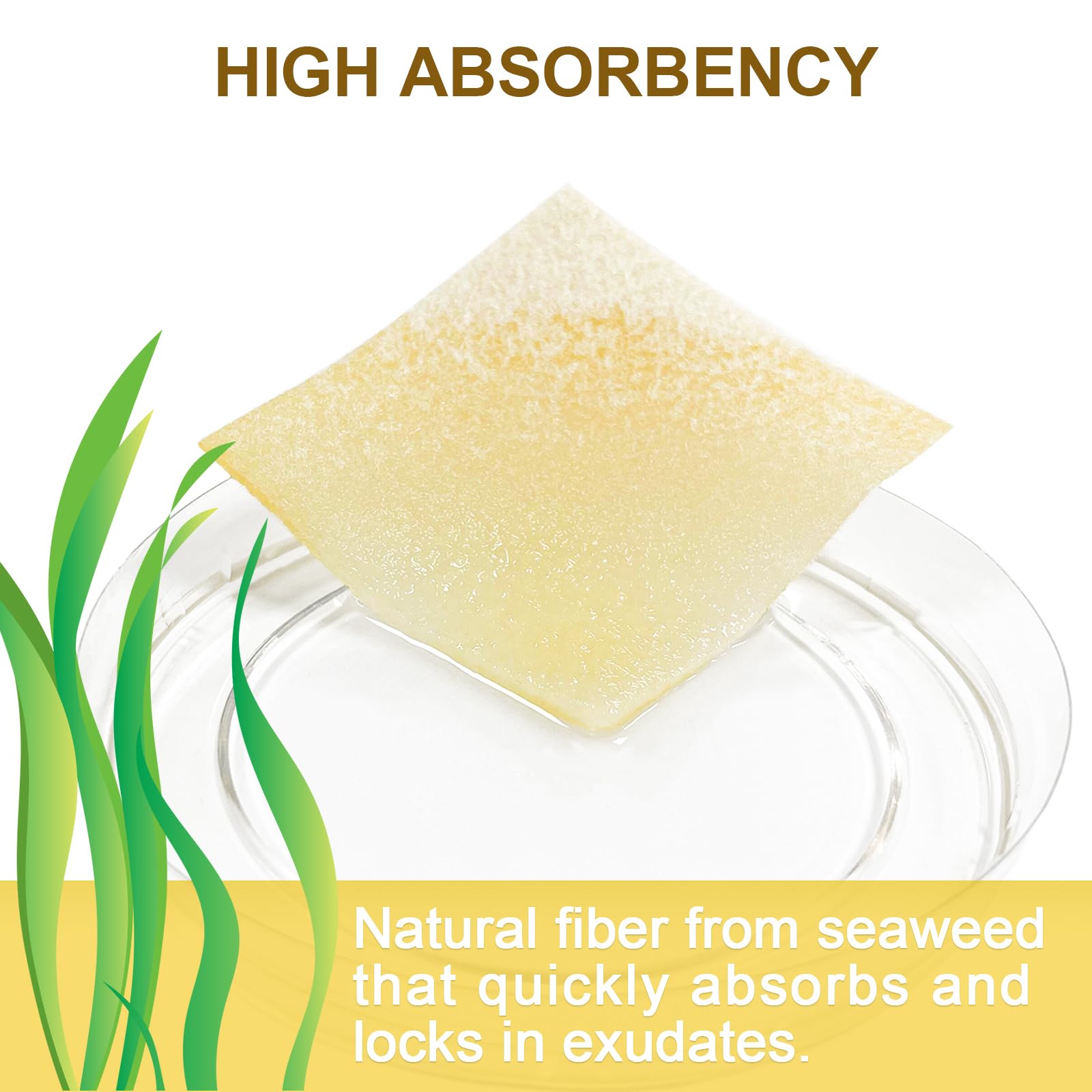Absorbent calcium alginate dressing from Ceeport with Manuka honey