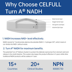 CELFULL NADH tablet close-up shows stable formulation