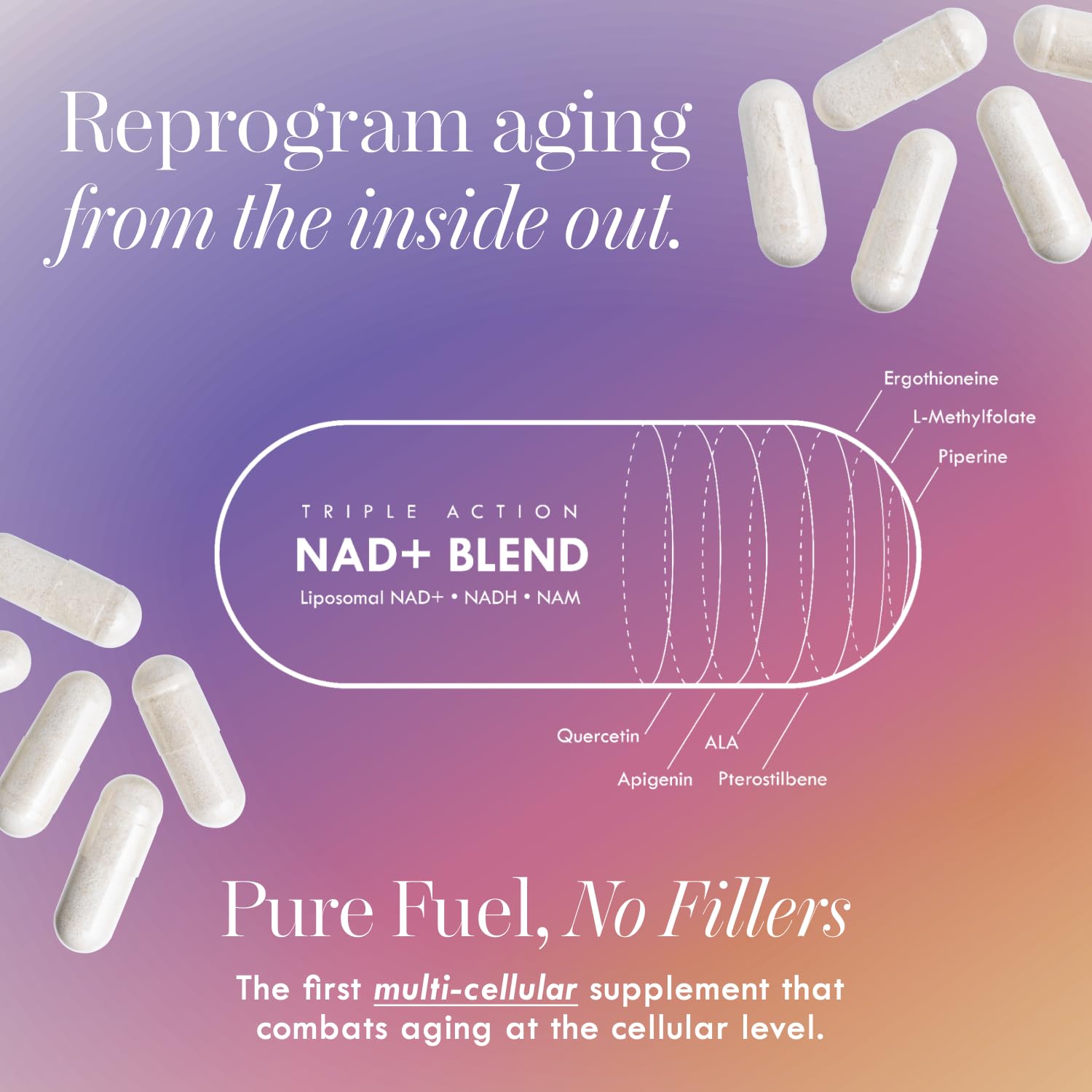 Cell Theory NAD Plus capsules on morning desk aiding energy and clarity