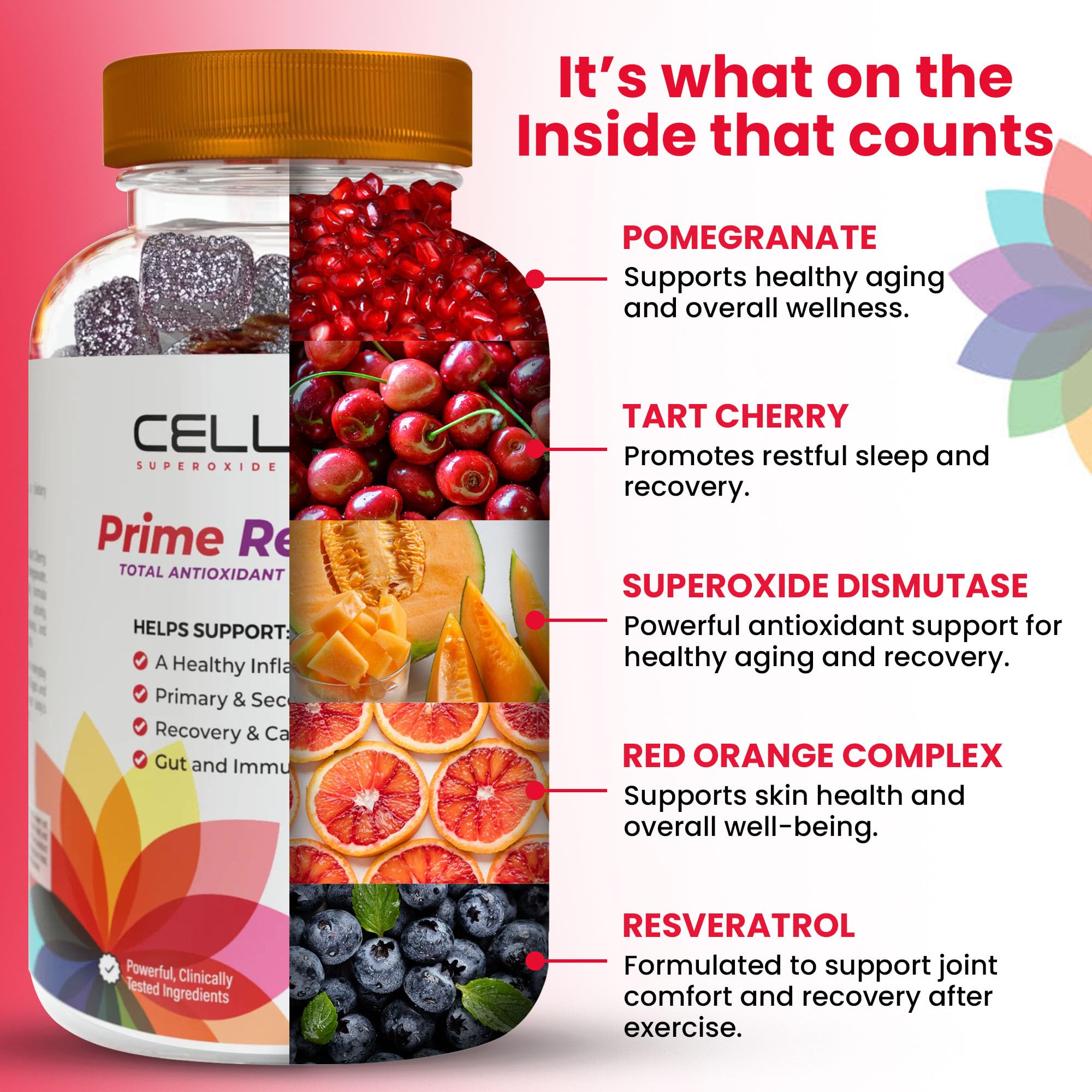 Cellev8 Prime Recovery two gummies daily usage illustration.