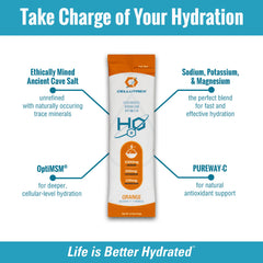 Cellutrex H2O Electrolytes energy and recovery during workout session.