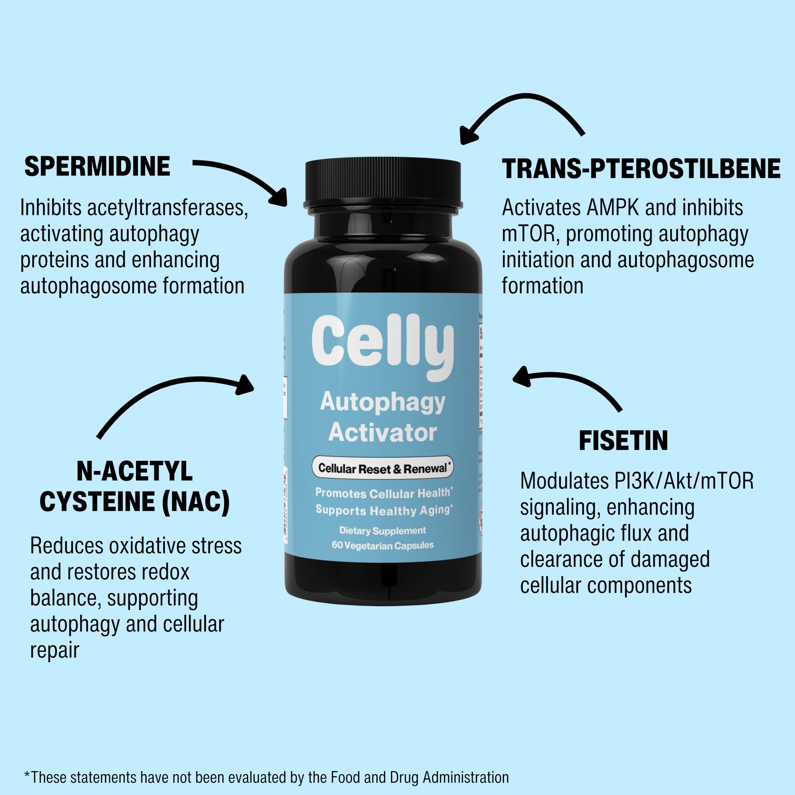 Celly Autophagy Activator two capsules shown as a daily serving option.