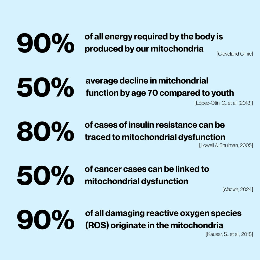 Celly Mitochondrial Health green coffee icon highlighting natural caffeine for alertness