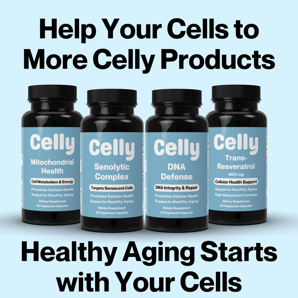 Celly NAD Booster practical-use scene suggesting energy support during busy days
