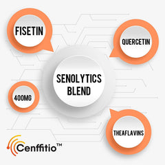 Graphic illustrating liposome delivery and improved absorption in Cenffitio product
