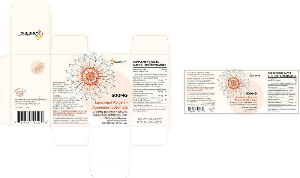 Cenffitio liposomal absorption illustration highlights improved delivery