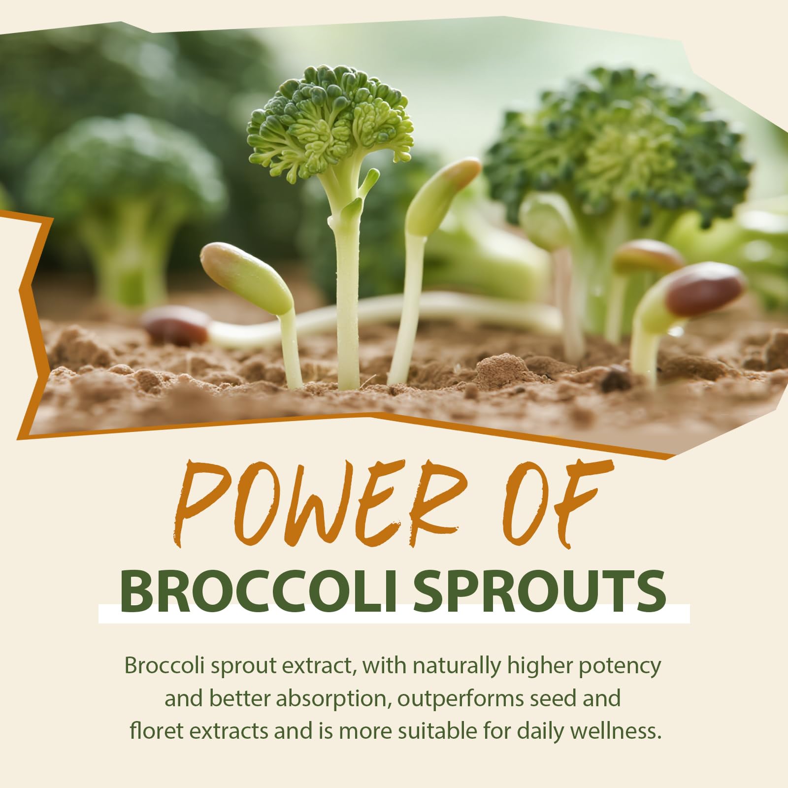 Cenffitio sulforaphane powder blended into a smoothie