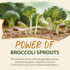 Cenffitio sulforaphane powder blended into a smoothie