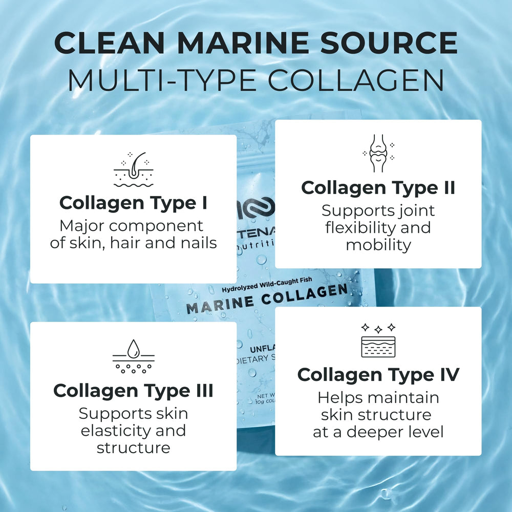 Centenarius Nutrition collagen powder with scoop for easy daily mixing.
