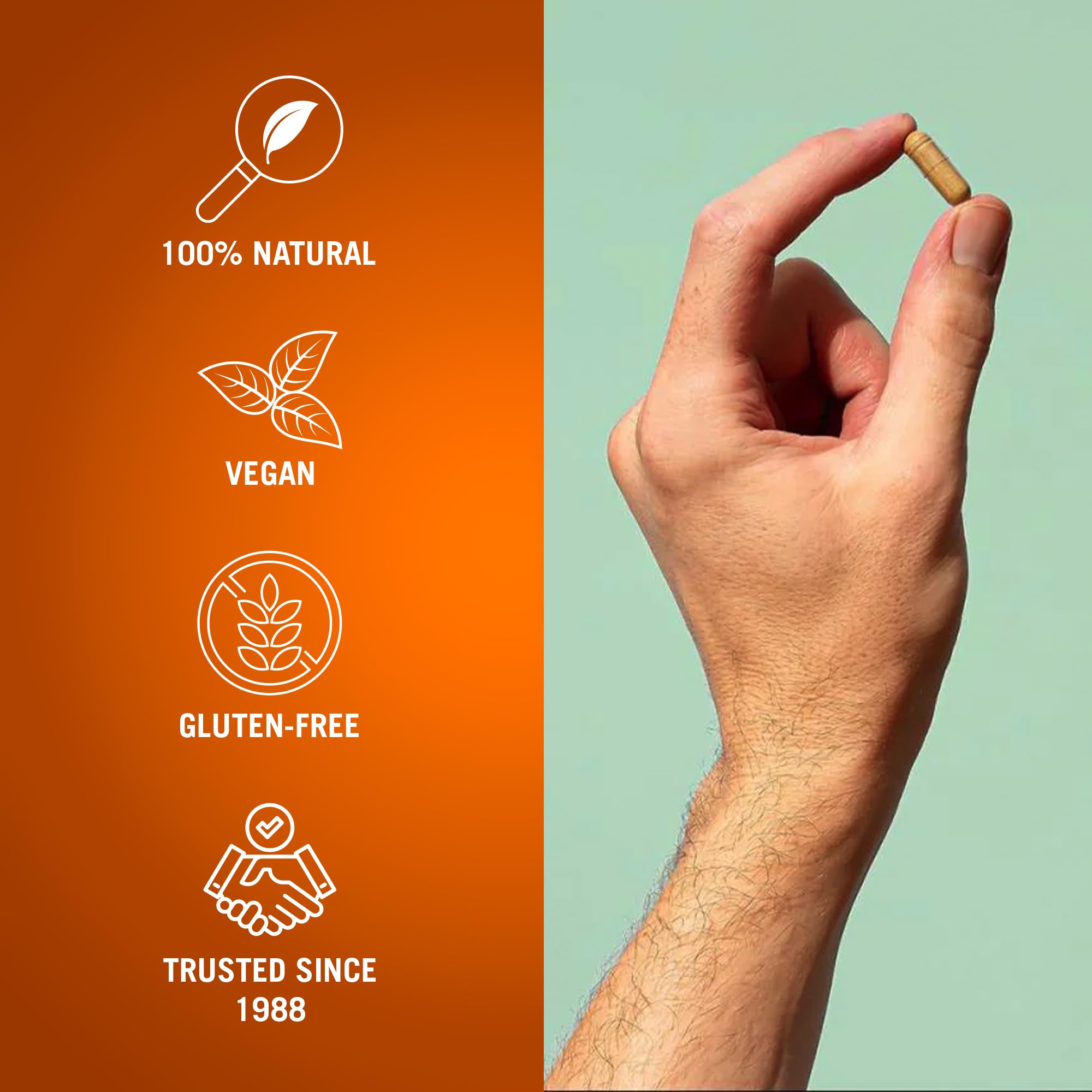 Century Systems The Cleaner focus on digestive balance — helps maintain comfortable daily digestion.