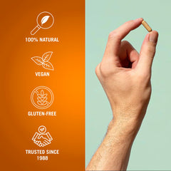 Century Systems The Cleaner focus on digestive balance — helps maintain comfortable daily digestion.