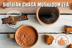 ChagaTeaShop packaging with natural, wild-harvested chaga chunks.