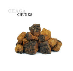 ChagaTeaShop chunks in a cup ready to brew earthy tea.