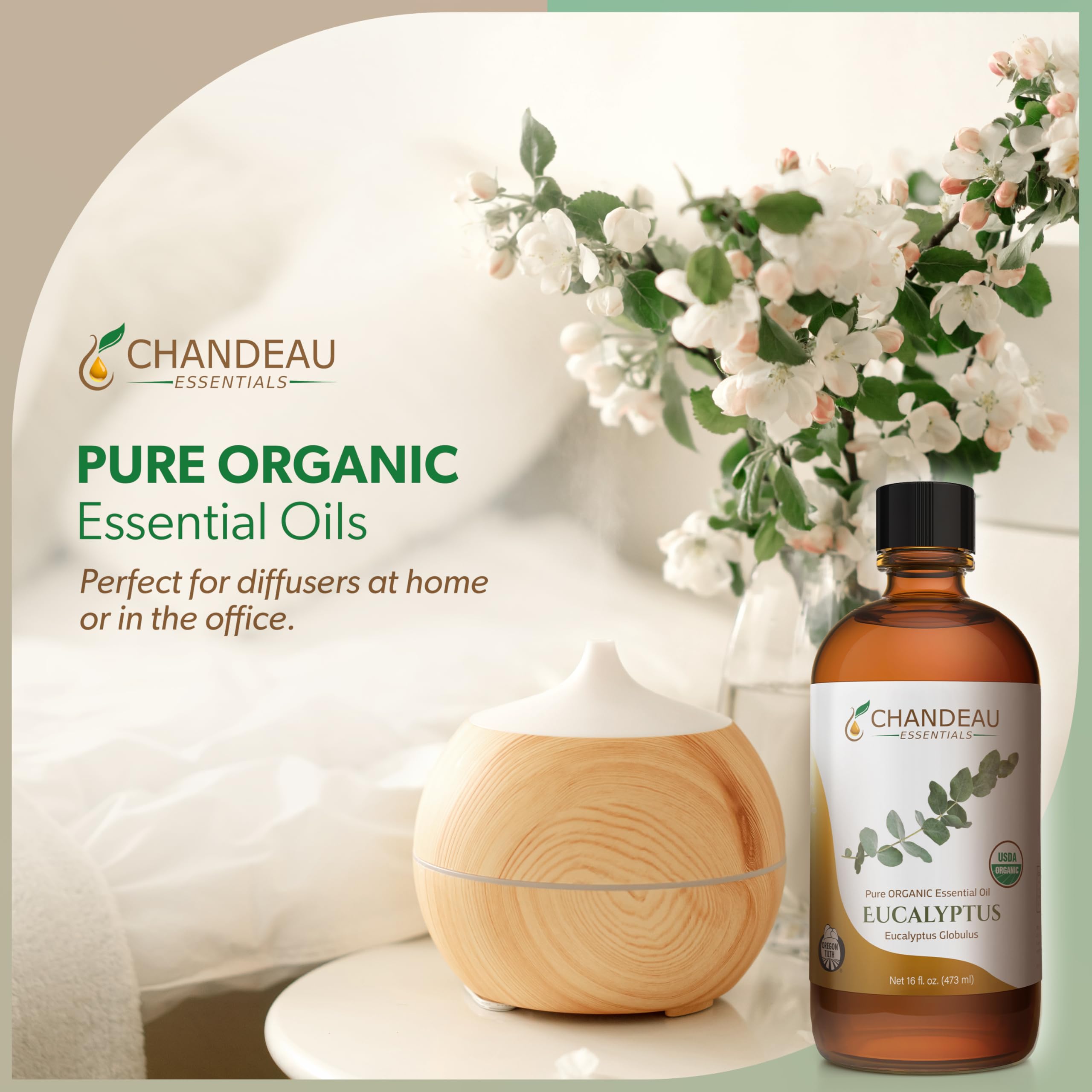 Diffuser setup with Chandeau Essentials eucalyptus oil for aroma