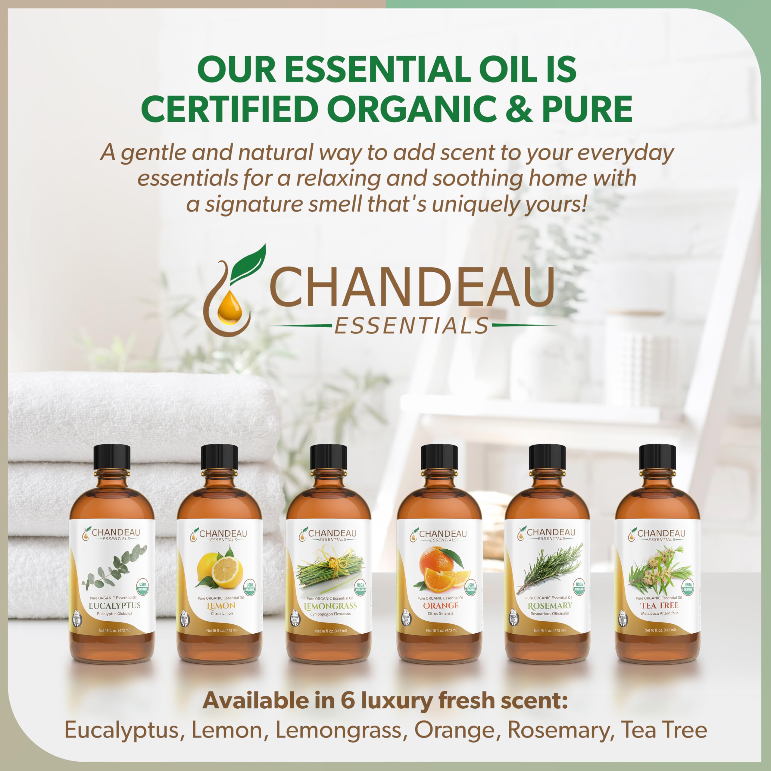 Perfume blend concept using Chandeau Essentials eucalyptus oil