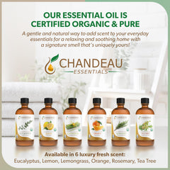Perfume blend concept using Chandeau Essentials eucalyptus oil