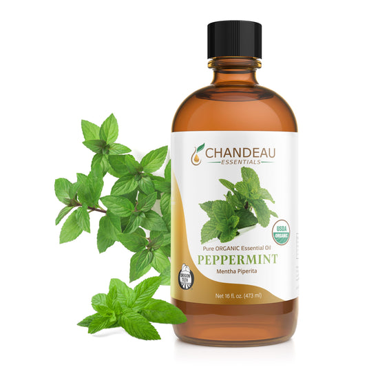 Chandeau Essentials peppermint oil in amber bottle for long-lasting fragrance