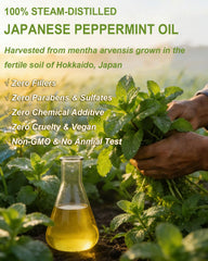 CHDGSJ Peppermint Oil label and QR COA for purity verification.