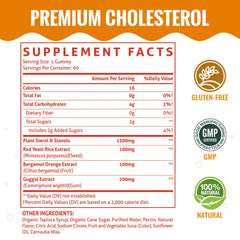 ChiQwench cholesterol gummies mixed berry close up for daily use.