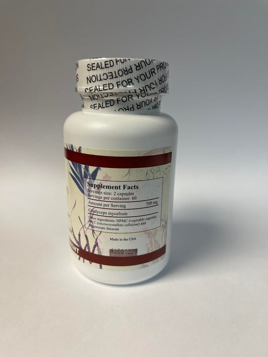 Cordyceps Extract capsules arranged to showcase premium potency and purity.