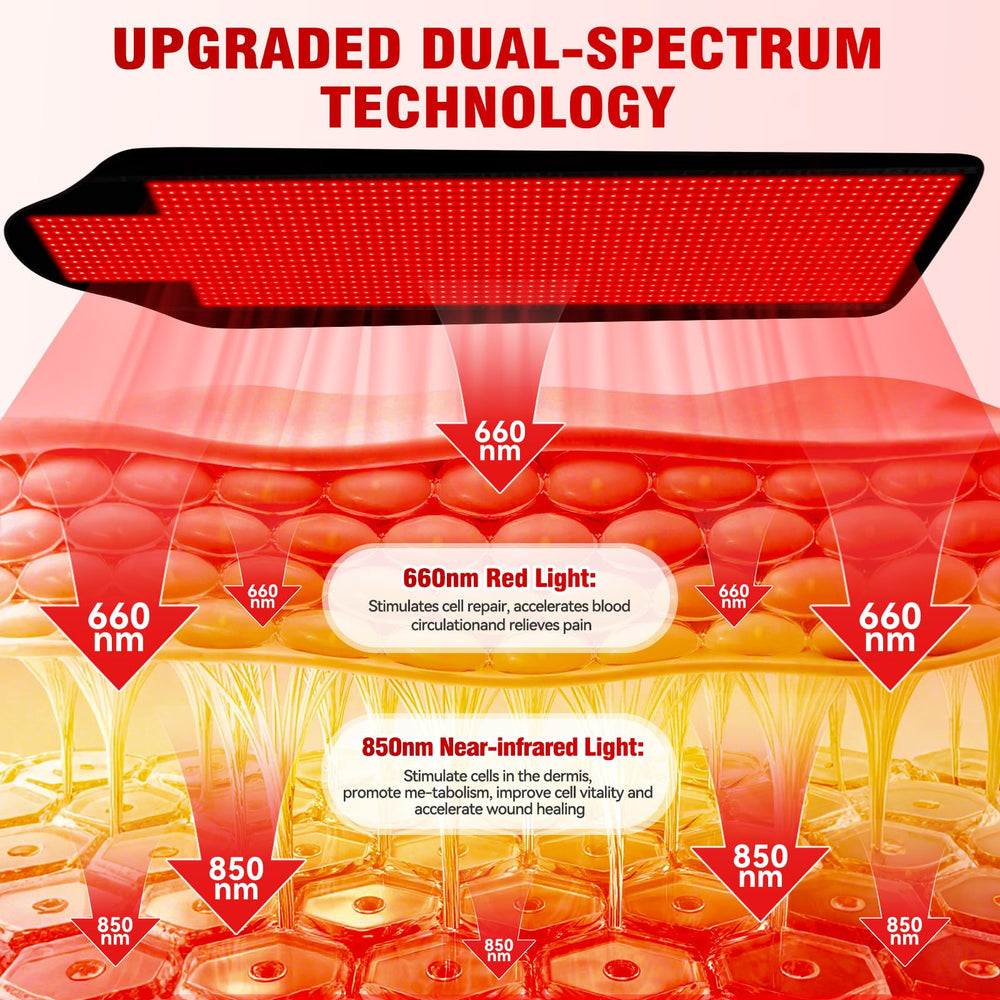 Cholas 2705 LED array detail highlights high-density illumination