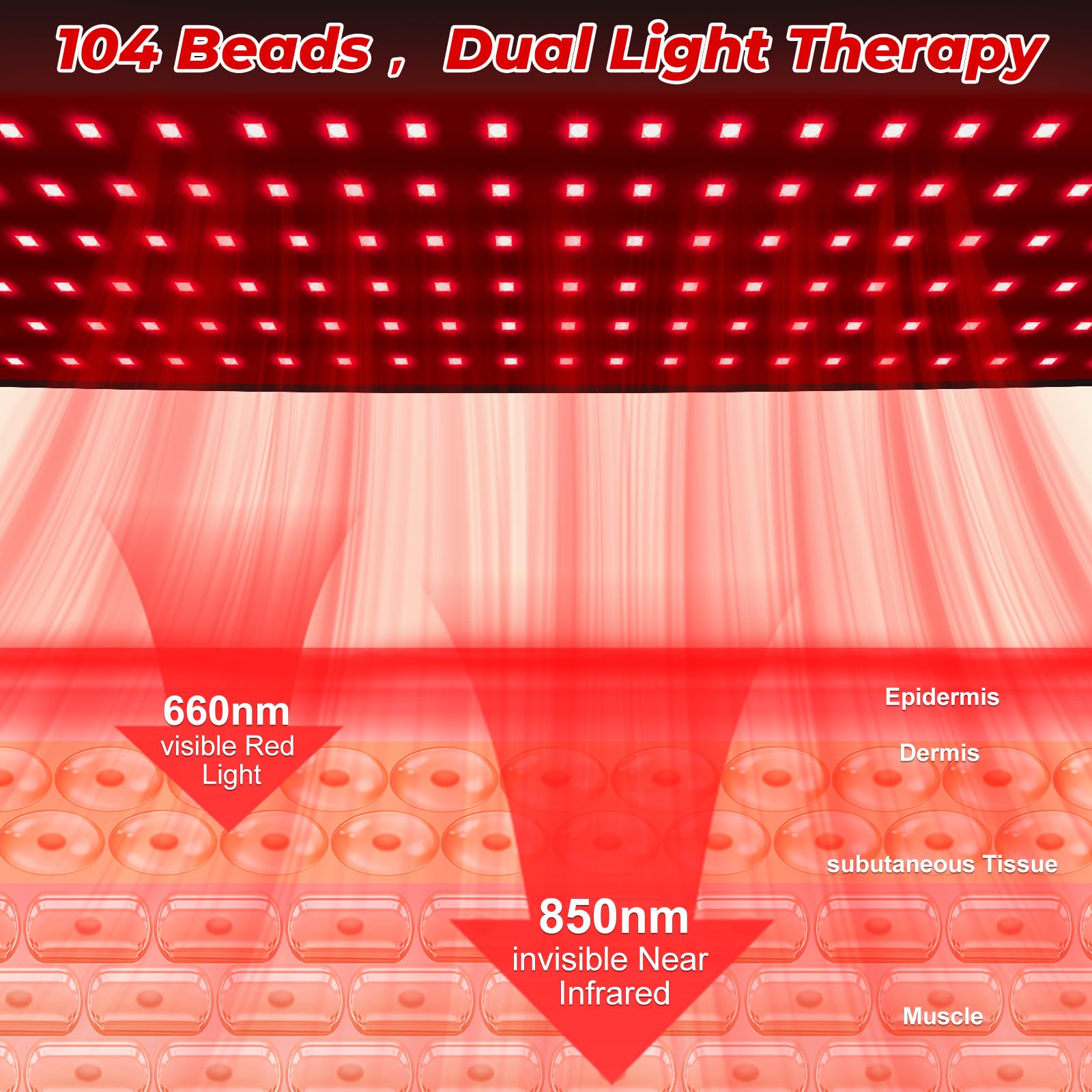 Cholas 660nm and 850nm light spectrum supports muscle relaxation.